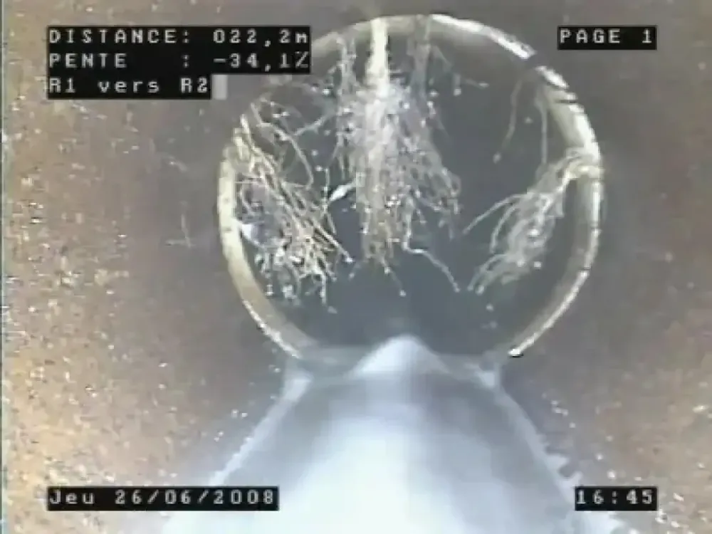 passage de camera (2).webp